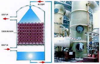 工業(yè)除臭設(shè)備|車(chē)間除臭除味方法